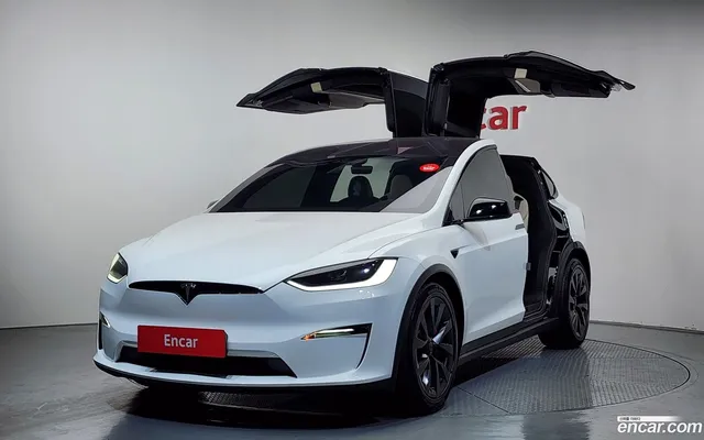 Tesla Model X — миниатюра 1