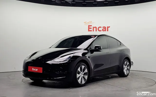 Tesla Model Y AWD — миниатюра 1