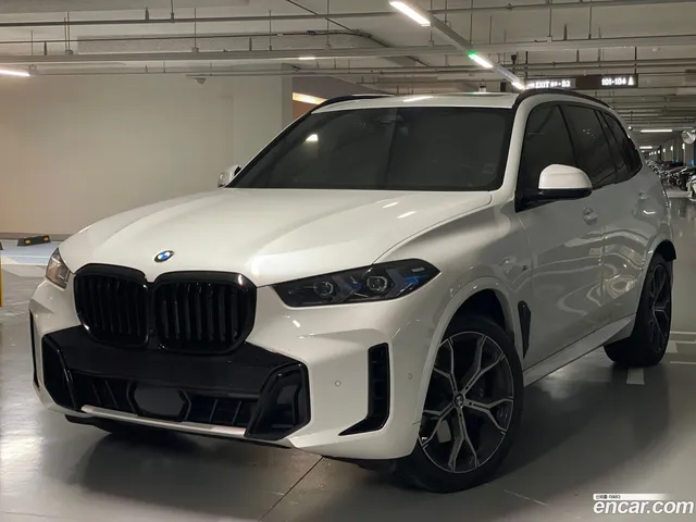 BMW X5 (G05) xDrive 30d M — миниатюра 1