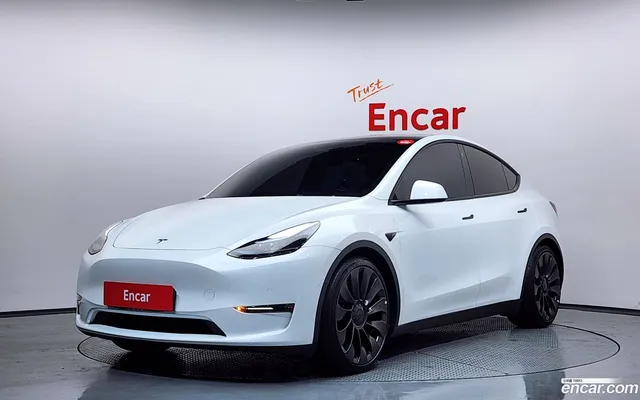 Tesla Model Y AWD — миниатюра 1