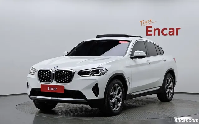 BMW X4 (G02) xDrive20i xLine — миниатюра 1
