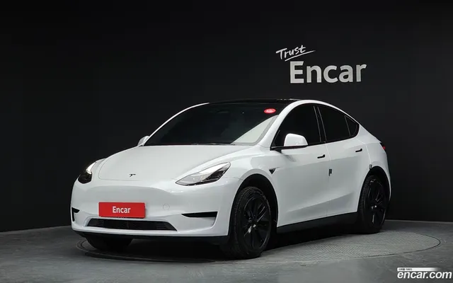 Tesla Model Y RWD — миниатюра 1