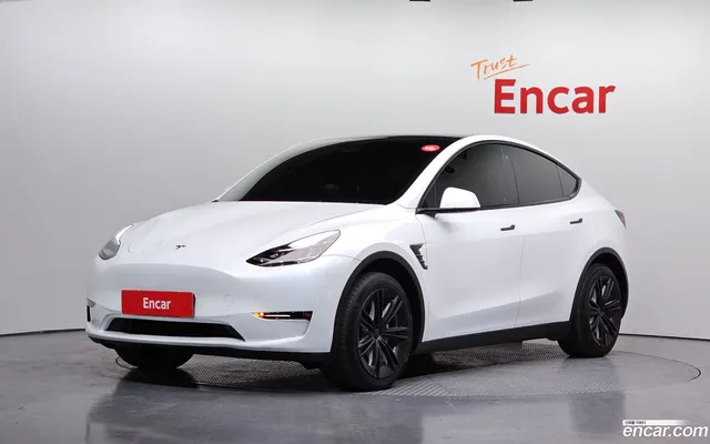 Tesla Model Y AWD — миниатюра 1