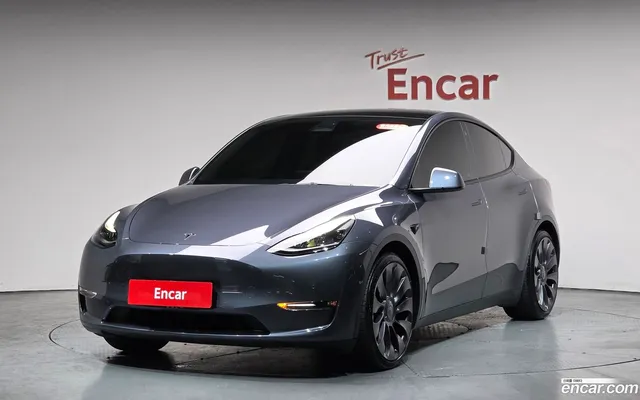 Tesla Model Y AWD — миниатюра 1