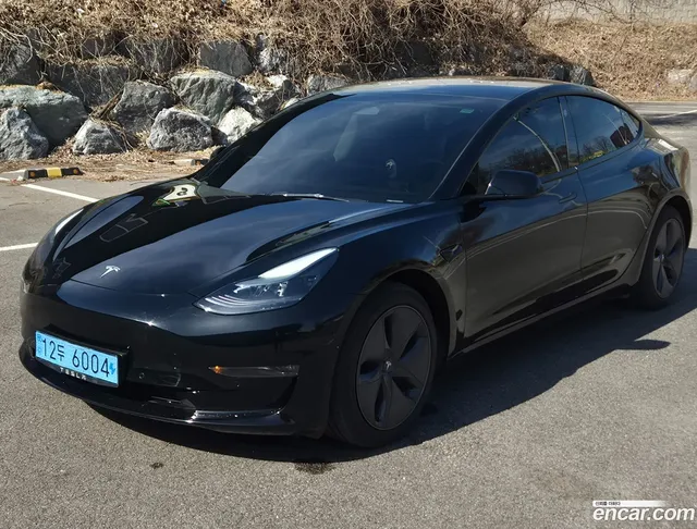 Tesla Model 3 AWD — миниатюра 1