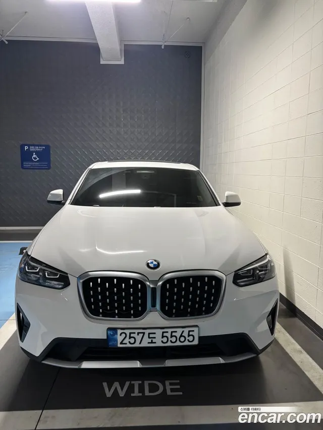 BMW X4 (G02) xDrive20i xLine — миниатюра 1