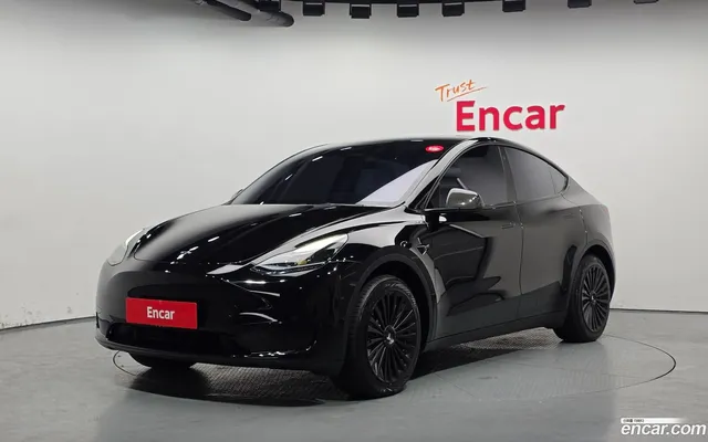 Tesla Model Y RWD — миниатюра 1