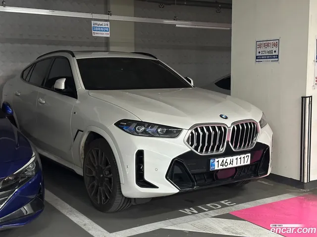 BMW X6 (G06) xDrive30d M — миниатюра 1