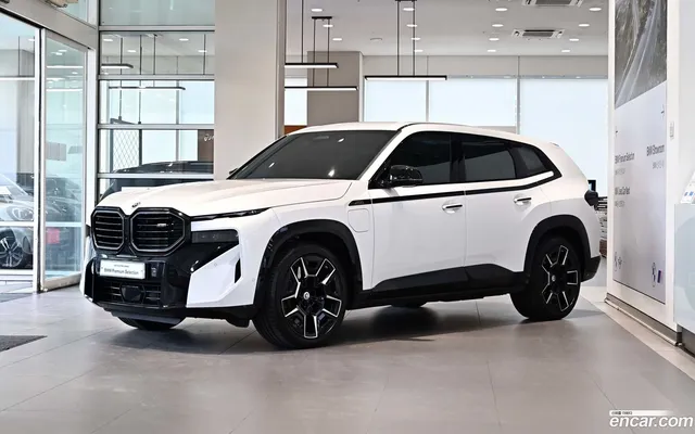 BMW XM (G09) 4.4 — миниатюра 1