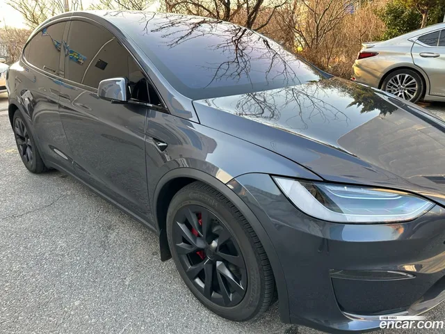 Tesla Model X — миниатюра 1