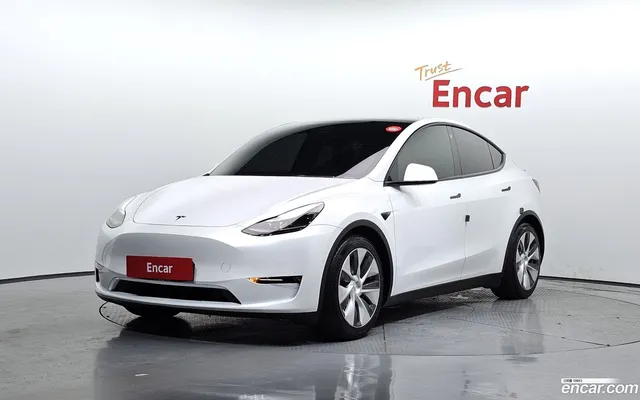 Tesla Model Y AWD — миниатюра 1