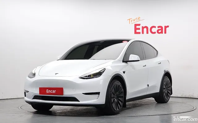 Tesla Model Y AWD — миниатюра 1