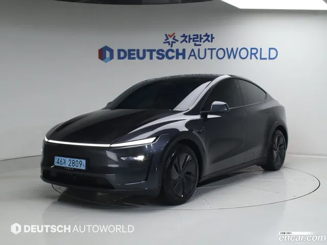 Tesla Model Y RWD — миниатюра 1