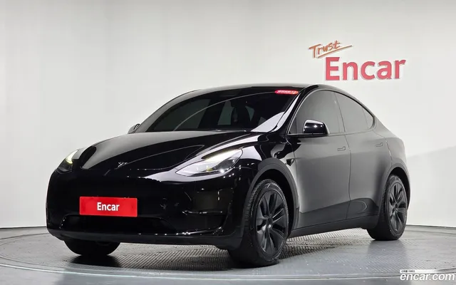 Tesla Model Y RWD — миниатюра 1