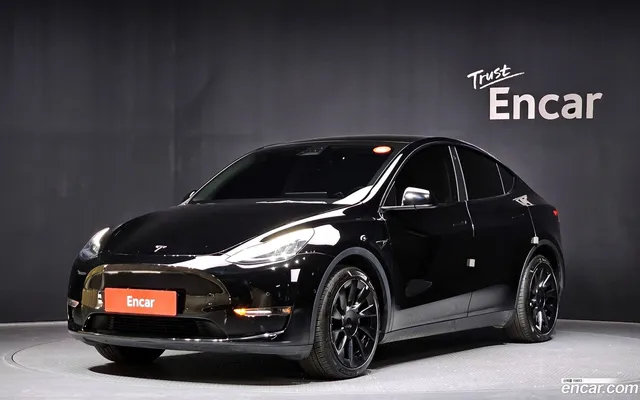 Tesla Model Y AWD — миниатюра 1