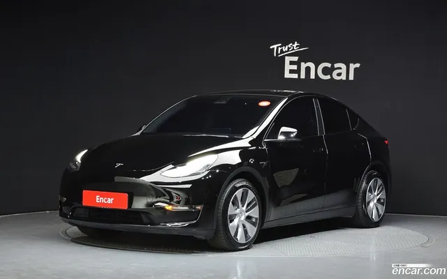 Tesla Model Y AWD — миниатюра 1