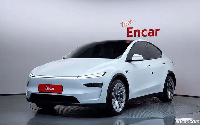 Tesla Model Y AWD — миниатюра 1