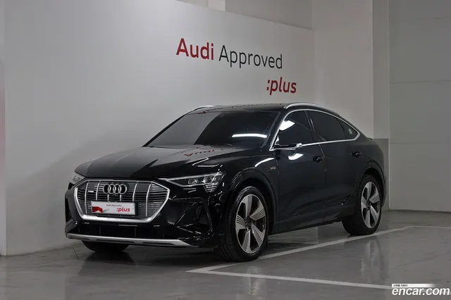 Audi e- 55 — миниатюра 1