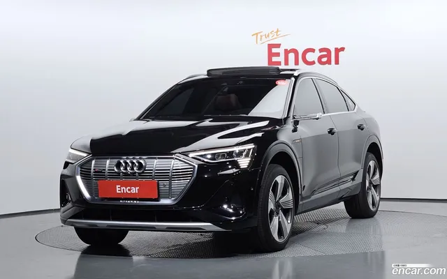 Audi e- 55 — миниатюра 1