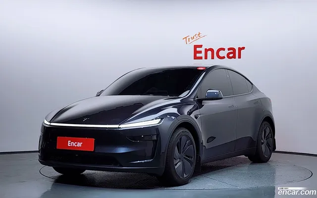 Tesla Model Y AWD — миниатюра 1