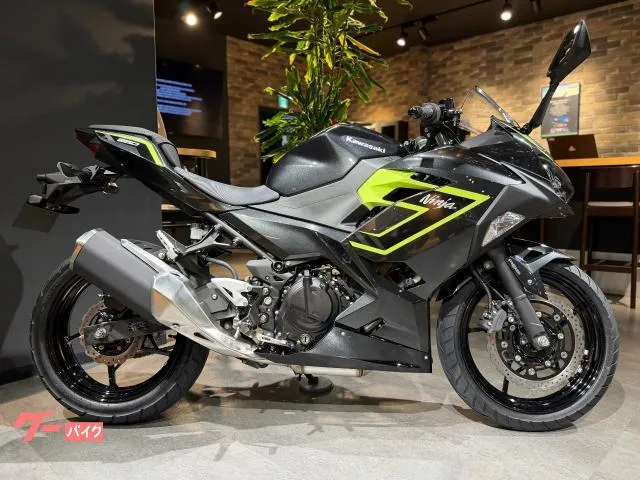 Kawasaki Ninja 250 — миниатюра 1