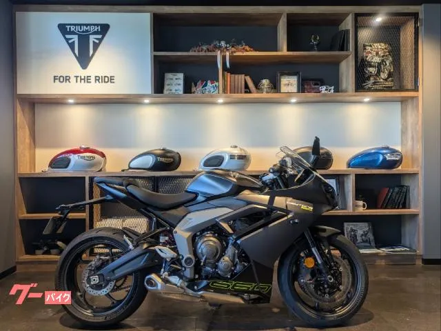 TRIUMPH 660 — миниатюра 1