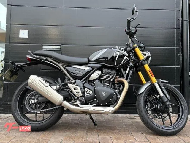 TRIUMPH 400 — миниатюра 1