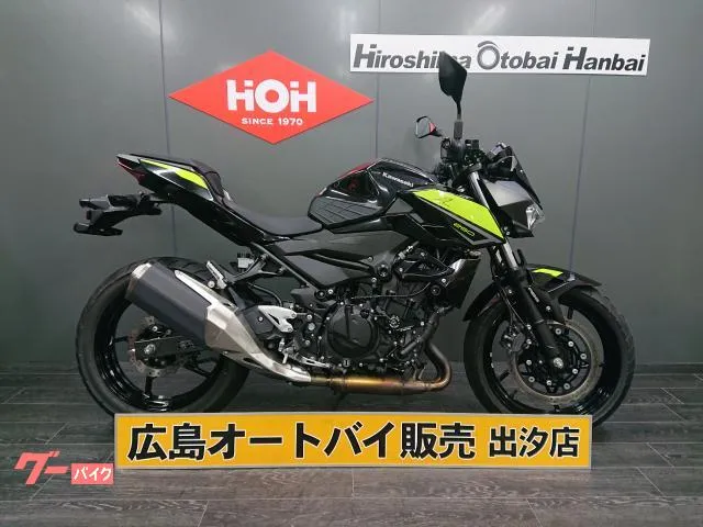 Kawasaki Z250 ABS ETC2.0 USB — миниатюра 1