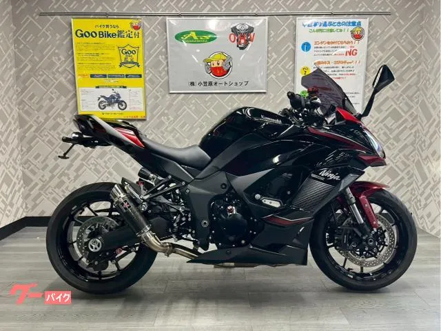 Kawasaki Ninja 1000 SX LCI — миниатюра 1