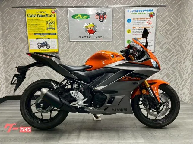 Yamaha YZF-R25 ABS ETC — миниатюра 1