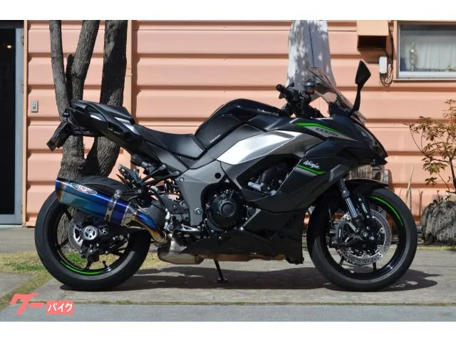 Kawasaki Ninja 1000 SX — миниатюра 1