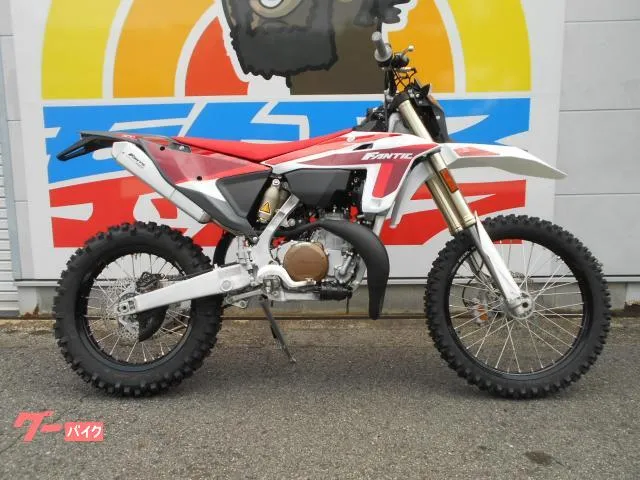 FANTIC XE300 2