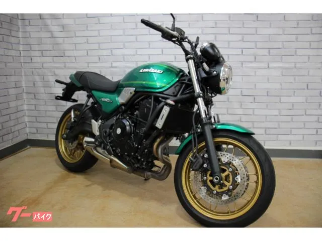 Kawasaki Z650RS USB — миниатюра 1