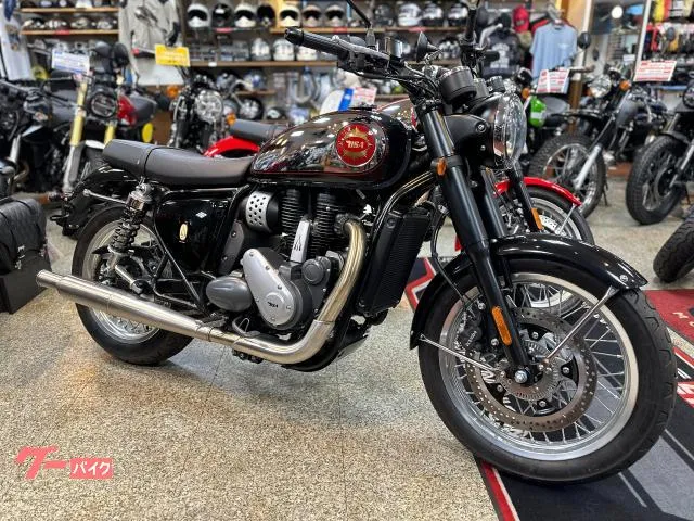 BSA 650 DOHC USB ABS 3 — миниатюра 1