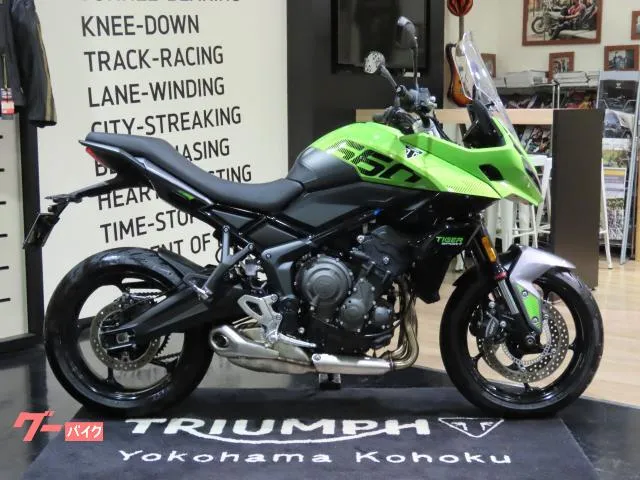 TRIUMPH 660 2025 — миниатюра 1