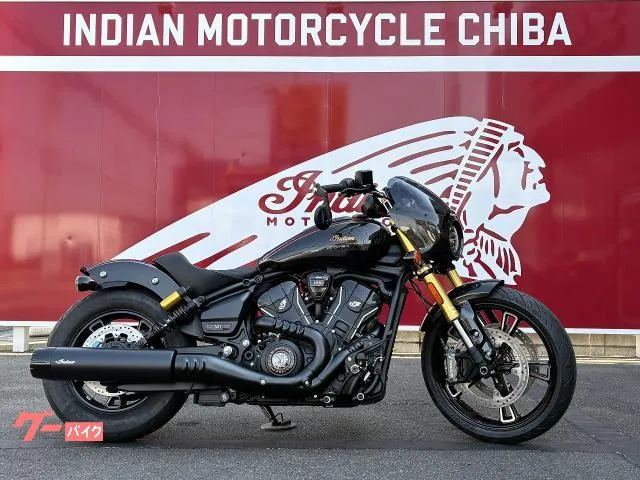 INDIAN 101 — миниатюра 1