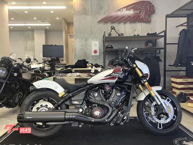 INDIAN 101 — миниатюра 1