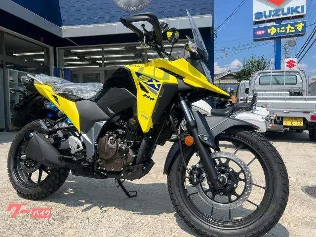 Suzuki V- 250SX — миниатюра 1