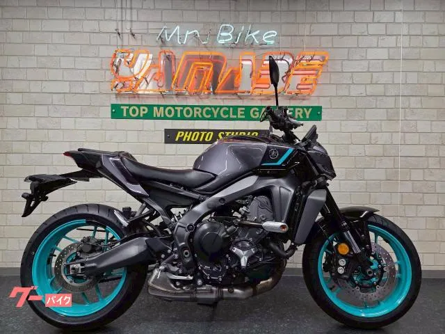 Yamaha MT-09 EG USB JRM-21 — миниатюра 1
