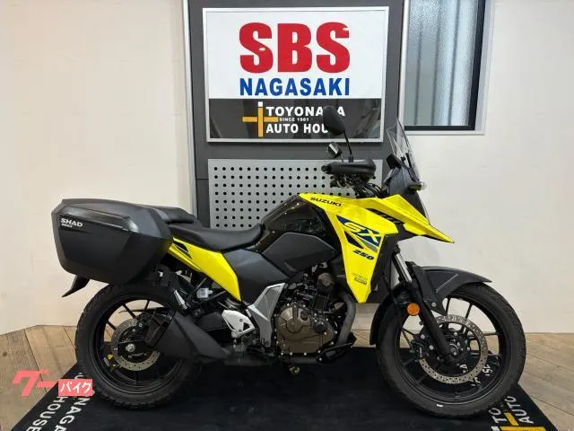 Suzuki V- 250SX — миниатюра 1
