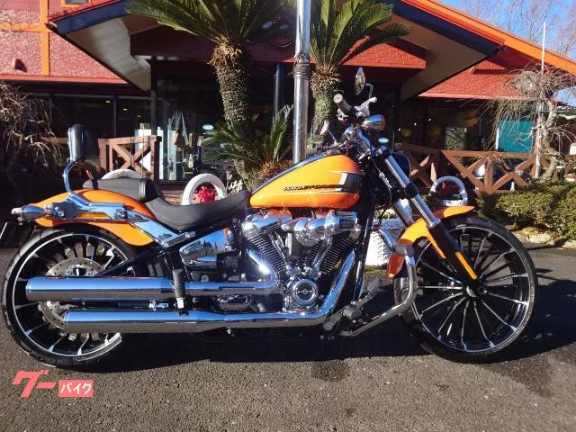 HARLEY-DAVIDSON FXBR 2023 — миниатюра 1