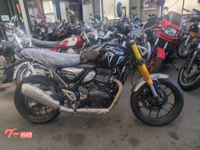 TRIUMPH 400 — миниатюра 1