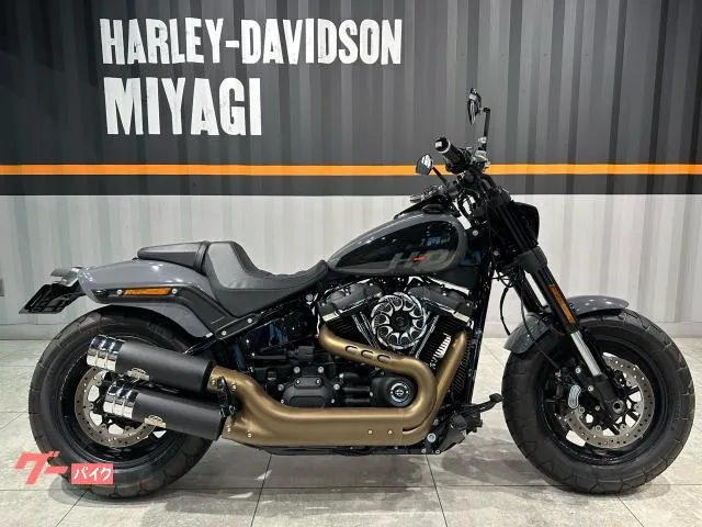 HARLEY-DAVIDSON FXFBS