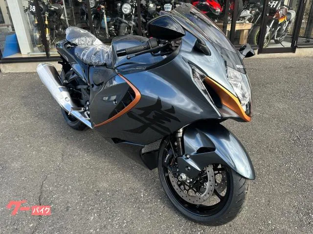 Suzuki (GSX1300R Hayabusa) — миниатюра 1