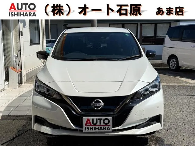 Nissan LEAF URBAN CHROME — миниатюра 1