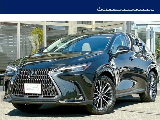 Lexus NX — миниатюра 1