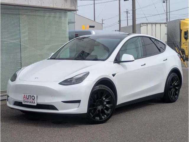 Tesla MODEL Y RWD — миниатюра 1