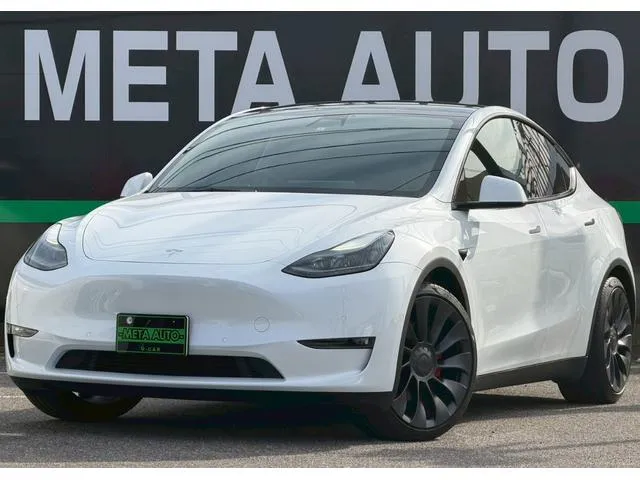 Tesla MODEL Y PERFORMANCE — миниатюра 1