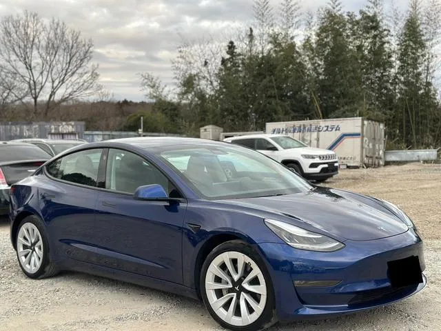 Tesla MODEL 3 LONG RANGE — миниатюра 1