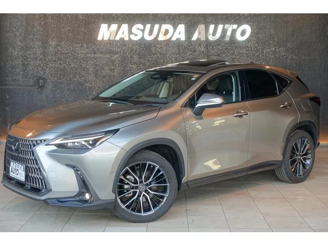 Lexus NX NX350H VERSION L — миниатюра 1